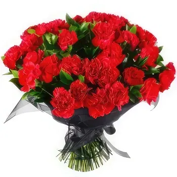 Bugarska Online cvjećar - S poštovanjem Red Carnations Tribute Buket