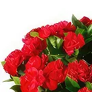 Ajtos Blumen Florist- Respektvolle Hommage an die roten Nelken Bouquet/Blumenschmuck