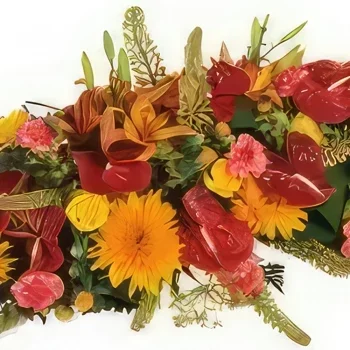 بائع زهور مونبلييه- حذاء الثلوج الأحمر والبرتقالي ليكليبس باقة الزهور