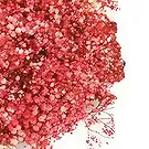 Adma flowers  -  For Love Flower Bouquet/Arrangement