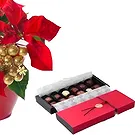 Osidda flowers  -  Red Poinsettia with Chocolates Flower Bouquet/Arrangement