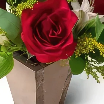 Belém kvety- Malé usporiadanie ruží a Astromelia Aranžovanie kytice