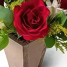 flores de Uberlândia- Pequeno Arranjo de Rosas e Astromelia Bouquet/arranjo de flor