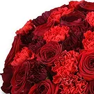 An-Najadah blomster- Røde roser og nellikerbukett Blomsterarrangementer bukett