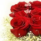 fleuriste fleurs de Petrovac na Moru- Nuage de roses romantique Bouquet/Arrangement floral