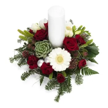 시칠리아 꽃- 빨간색과 흰색 크리스마스 꽃의 중심