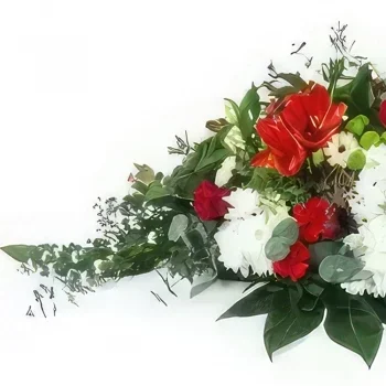 Marseille Blumen Florist- Rot-weißer Schläger Delphi Bouquet/Blumenschmuck