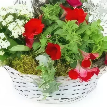 Tarbes цветя- Червена и бяла чаша за растения Rubrum Букет/договореност цвете