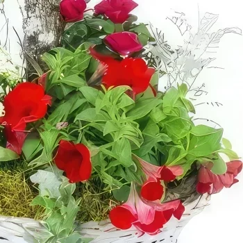 Бордо цветя- Червена и бяла чаша за растения Rubrum Букет/договореност цвете