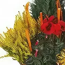 بائع زهور ليل- تكوين الحداد الأحمر والأصفر Jardin d'Hiver باقة الزهور