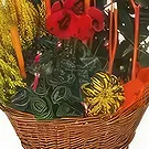 بائع زهور ليل- تكوين الحداد الأحمر والأصفر Jardin d'Hiver باقة الزهور