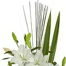 Cung Kiệm flowers  -  Pureness Flower Bouquet/Arrangement