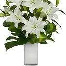 Cung Kiệm flowers  -  Pureness Flower Bouquet/Arrangement