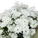 ボグダノフ・ドル 花- 謹んでお別れ 花束/フラワーアレンジメント