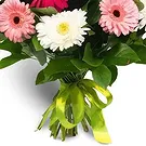 Cala Llonga flowers  -  Crimson Maple Delight Flower Bouquet/Arrangement