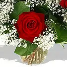 Prokuplje flowers  -  Love Roses Flower Bouquet/Arrangement