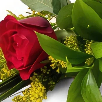 Белу-Оризонти цветы- Одинокая красная роза и шоколад Цветочный букет/композиция