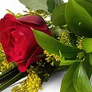 Chile flowers  -  Solitary Red Rose and Chocolate Flower Bouquet/Arrangement