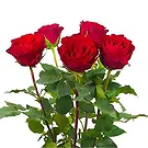 Colijnsplaat Blumen Florist- Luxusgeschenk Bouquet/Blumenschmuck