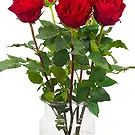 Colijnsplaat Blumen Florist- Luxusgeschenk Bouquet/Blumenschmuck