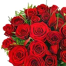 Versciaco di Sopra flowers  -  Red Roses Bouquet with Wine & Soft Toys Flower Bouquet/Arrangement