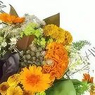 Le François flowers  -  Rome Fall Long Stem Bouquet Flower Bouquet/Arrangement