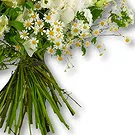 United Arab Emirates flowers  -  Rose and Hydrangea Garden Bouquet Flower Bouquet/Arrangement