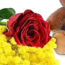 fiorista fiori di Firenze- Rosa Rossa e Mimosa Bouquet floreale
