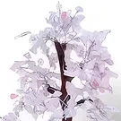 Kallang Way flowers  -  Certainly Wishing Flower Bouquet/Arrangement