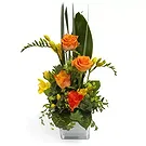 San Jose Santiago flowers  -  Tropical regards Flower Bouquet/Arrangement