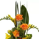 San Jose Santiago flowers  -  Tropical regards Flower Bouquet/Arrangement