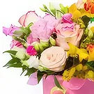 Budapest flowers  -  COLORFUL PEARL - FLOWER BOX Flower Bouquet/Arrangement