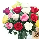 Ad Dilam blomster- Roser med Teddy Blomsterarrangementer bukett