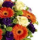 Macuilacatl Chico flowers  -  Thinking of you Flower Bouquet/Arrangement