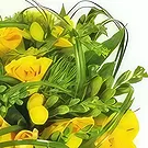 Le François flowers  -  Round bouquet Green Stem Flower Bouquet/Arrangement