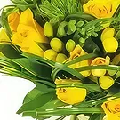 Le François flowers  -  Round bouquet Green Stem Flower Bouquet/Arrangement