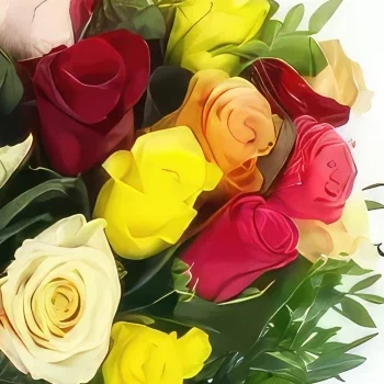 Kiva kukat- Pyöreä kimppu värikkäitä Malagan ruusuja Kukka kukkakimppu