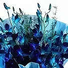 Garhoud flowers  -  Royal Flowers Flower Bouquet/Arrangement
