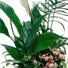 Cala Llonga flowers  -   Splendor Love Flower Bouquet/Arrangement