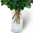 Cala Llonga flowers  -  Ruby Romance Roses Flower Bouquet/Arrangement
