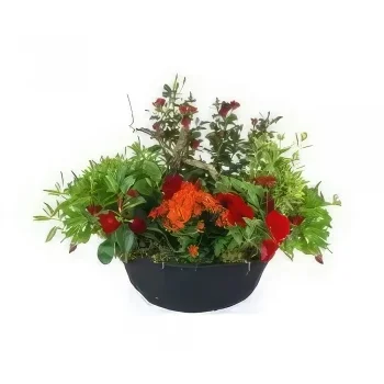 fleuriste fleurs de Toulouse- Coupe de plantes rouges & oranges Rufus Bouquet/Arrangement floral