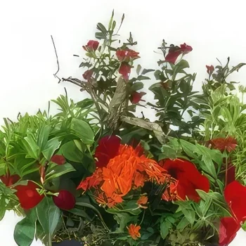 بائع زهور نانت- قطع نبات روفوس الأحمر والبرتقالي باقة الزهور