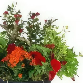 fleuriste fleurs de Toulouse- Coupe de plantes rouges & oranges Rufus Bouquet/Arrangement floral