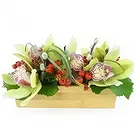Lille flowers  -  Santa Ana Green Lying Composition Flower Bouquet/Arrangement