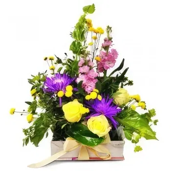 Mallorca flowers - Bright Hues