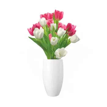 Włochy kwiaty- Bukiet Różowych I Białych Tulipanów
