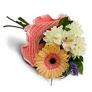 Bogdanica Blumen Florist- Sanfte Umarmungen Bouquet/Blumenschmuck