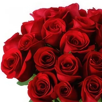 卡米洛·西恩富戈斯 花- 我美丽的淑女 花的花束安排