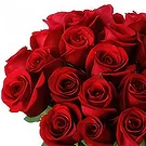 Hoting flowers  -  My Fair Lady Flower Bouquet/Arrangement