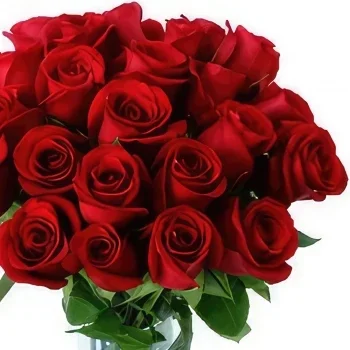 Charco Redondo rože- My Fair Lady Cvet šopek/dogovor